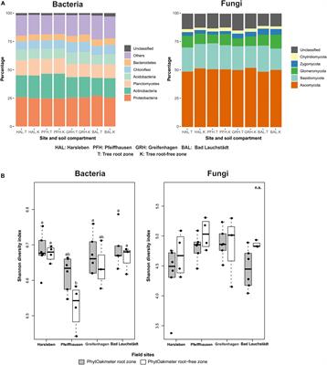 Tree Root Zone Microbiome: Exploring the Magnitude of Environmental Conditions and Host Tree Impact